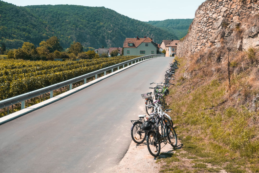 Winery Bike Tour in Wachau Valley, Vienna, Austria